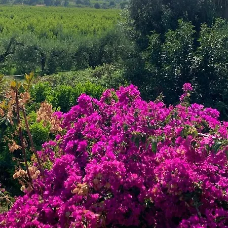 Tra Le Terme Di Suio E Vicino Al Mare Sessa Aurunca